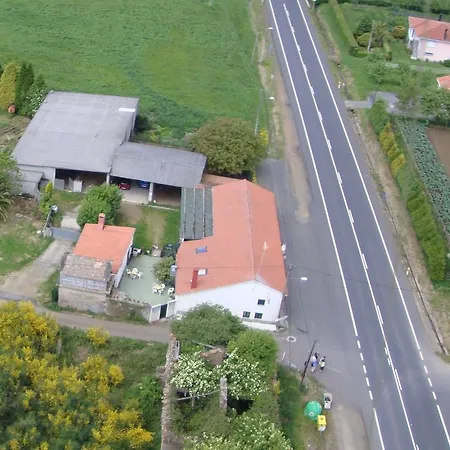 O' Meson * O Pino