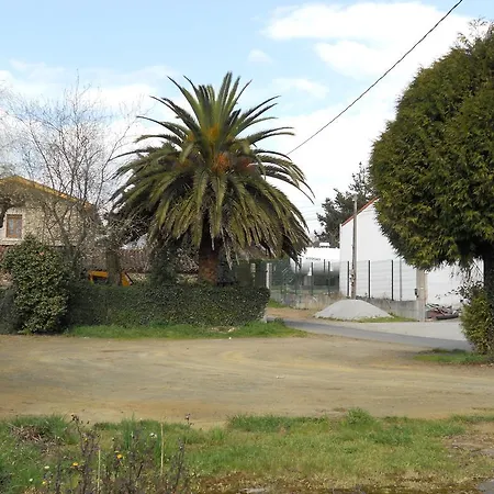 O' Meson O Pino