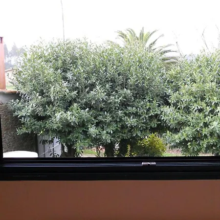 O' Mesón